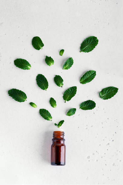 istock Botanical green leaves falling from amber bottle glass 1293594307