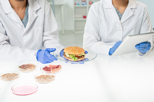 Gloved hands of worker of food quality control holding plate with hamburger containing vegetable meat while his colleague entering data