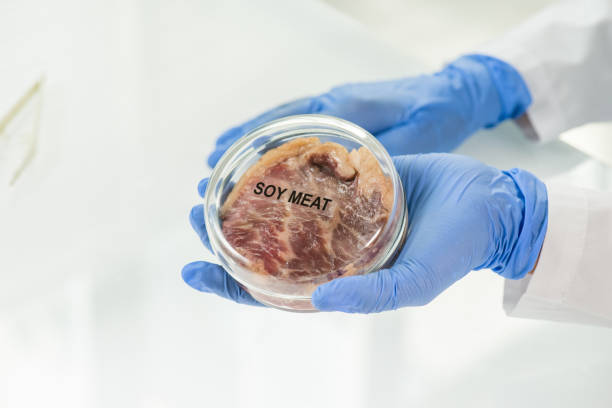 перчаточной рукой лаборант, держащий покрытую чашку петри сырым соиным мясом - nature scientist petri dish science стоковые фото и изображения