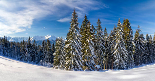 istock Vacations in Poland - High Tatra Mountains in winter 1293596226