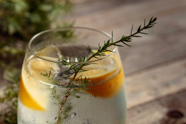 istock Alcohol drink (gin tonic cocktail) with lemon, juniper branch, and ice on rustic wooden table. 1293596436