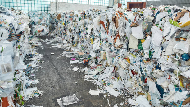istock Stacks of waste paper lying in rows 1293602798