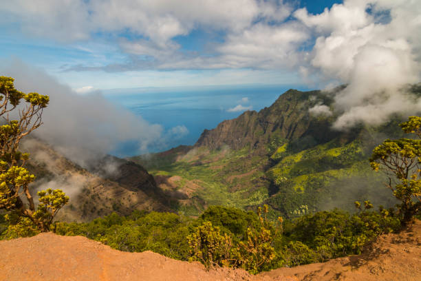 istock Above the clouds at Kalalau Lookout 1293609443
