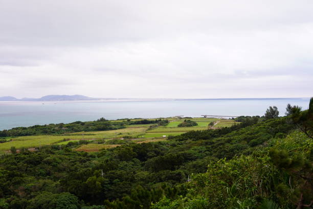 istock Scenery of green fields in remote islands in Okinawa 1293610336