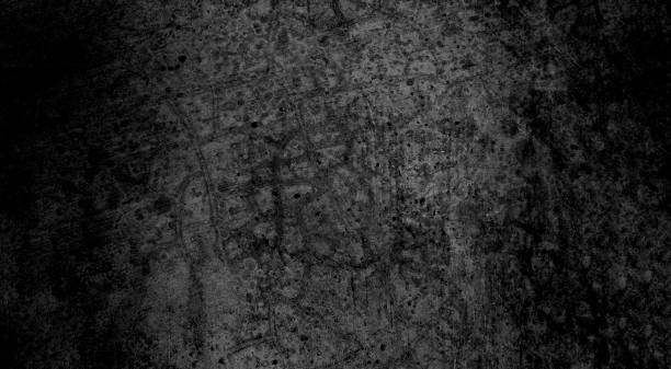 istock Old wall texture cement dark black gray panoramic background abstract grey color design are light with white gradient background. 1293610354