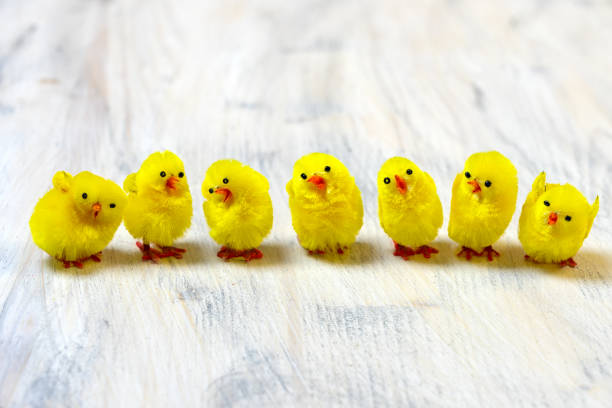 Small decorative chickens in a row in green grass