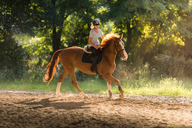 young pretty girl riding a horse - serbia horse nature landscape imagens e fotografias de stock