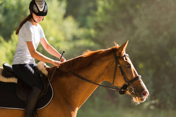istock Young pretty girl riding a horse 1293612324