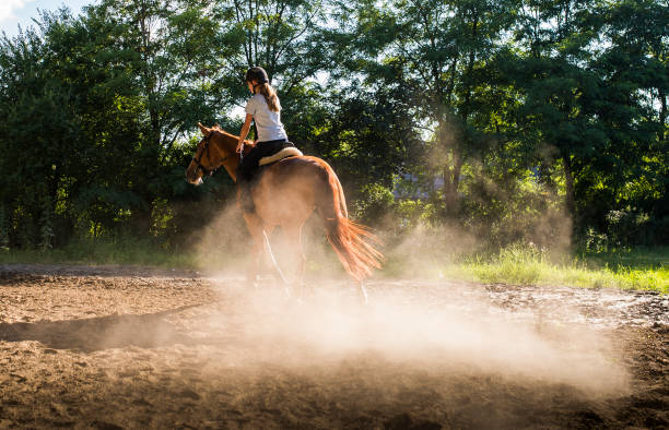 istock Young pretty girl riding a horse 1293612329