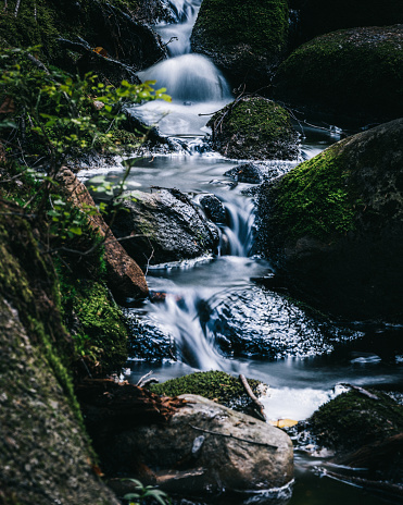 Nuuksio national park