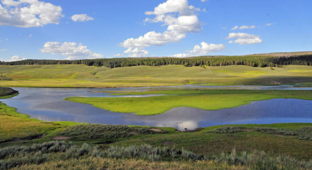 istock Alpine Meadow with lake-Yellowstone Wyoming 1293614545