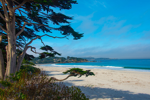 Dramatic view of tranquil scene at the beautiful central sand beach with red bridge covered by spring mist in San Francisco city, California