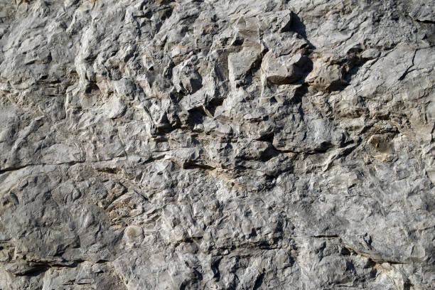 istock Cross section of rock 1293615702