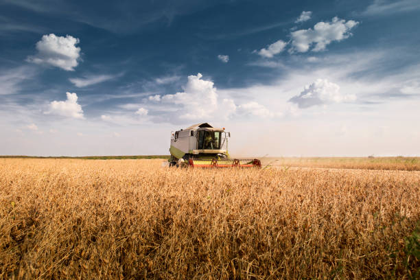 istock A combine harvester working in a wheat field 1293615970