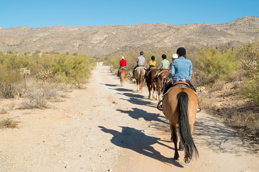 December 21, 2020 - Tucson, Arizona, USA: This family is taking a trail ride through the desert  outside of the Saguaro National Park near Tucson, Arizona.  The horses were rented from a nearby stable and led by a guide at the front of the line of horses.