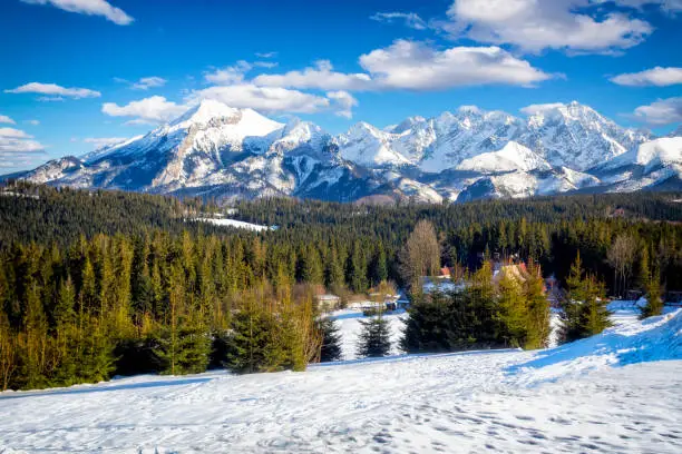 Vacations in Poland - Winter view of the High Tatra Mountains from Polana Zgorzelisko