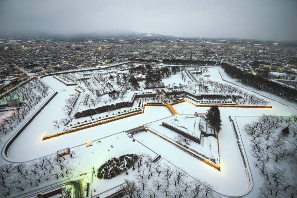 snow view of Japan