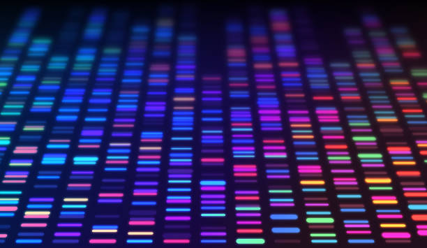 DNA Sequencing Data Processing Genetic Genomic Analysis DNA sequencing gel run science and data genomic genetic analysis background abstract pattern. genetic mutation stock illustrations
