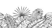 Tropical Plants Leaves Background. Vector hand drawn illustration.