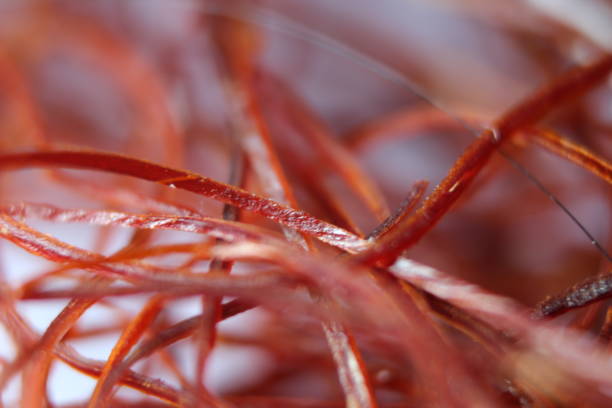 istock Macro photograph view of saffron with selective focus 1293621180