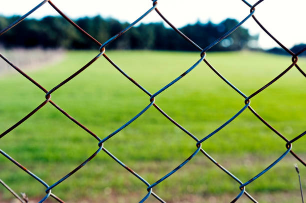istock Behind the barrier, pandemi, covid-19, coronavirus, prisoner 1293623507
