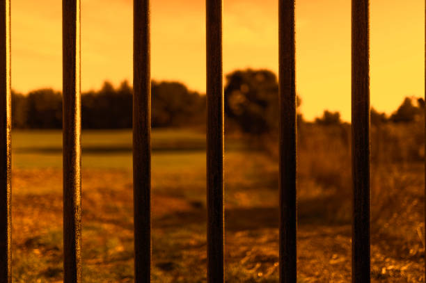 istock Behind the barrier, pandemi, covid-19, coronavirus, prisoner 1293623560