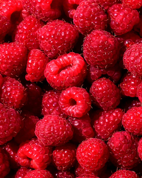 istock Raspberry for the background. Lots of ripe raspberries. 1293623630