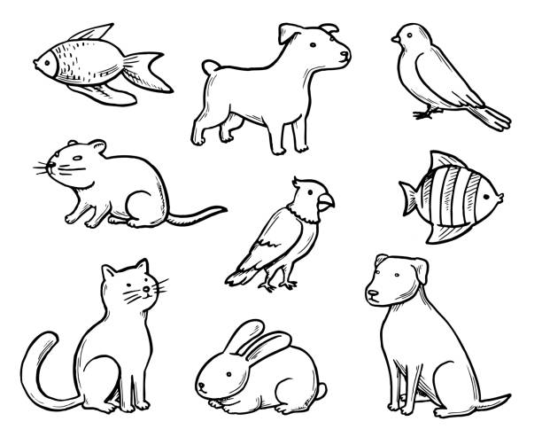 ilustrações de stock, clip art, desenhos animados e ícones de pets doodle set - rabbit vector black composition