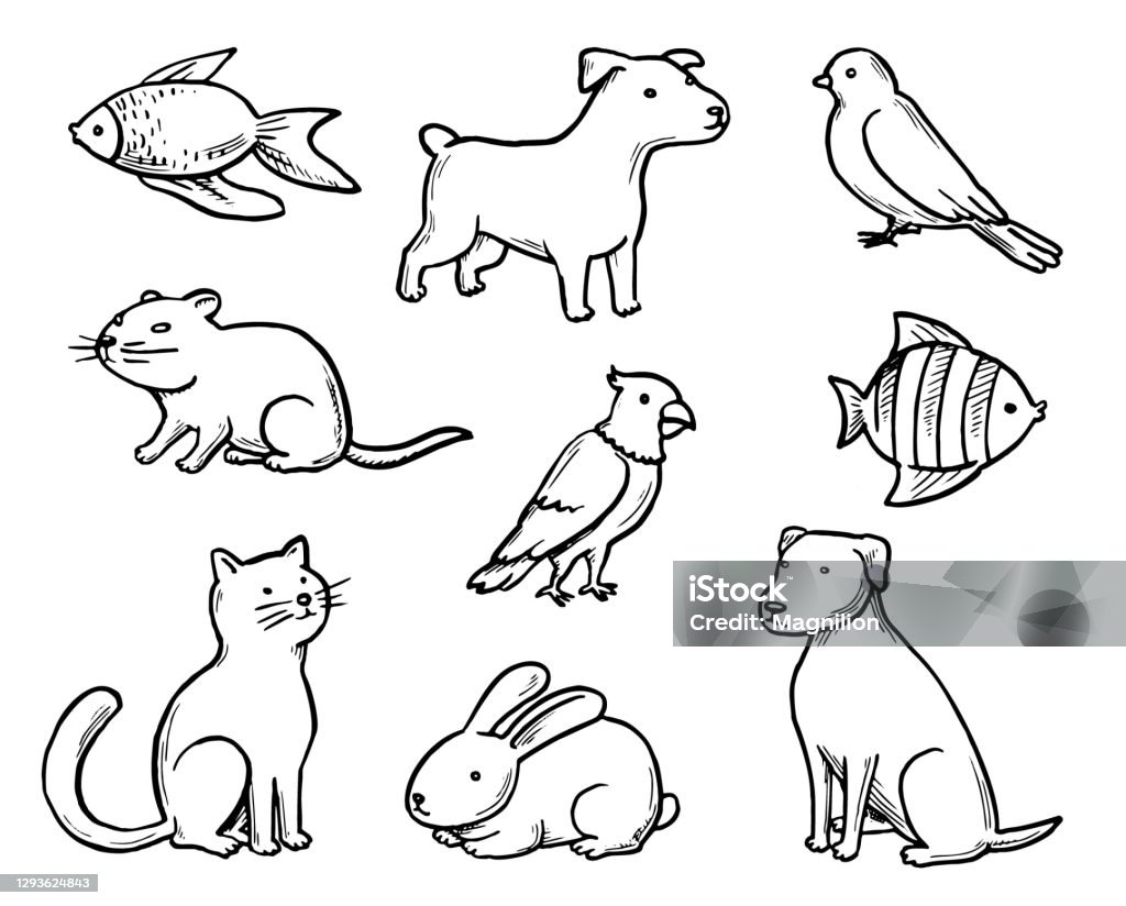 Pets Doodle Set Pets Doodle Set. Vector illustration. Domestic Cat stock vector