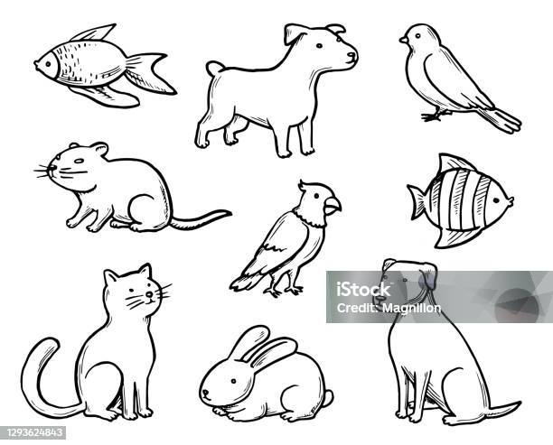 Pets Doodle Set Stock Illustration - Download Image Now - Domestic Cat, Dog, Pets