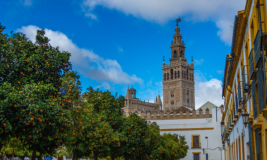 la giralda, view from the patio de los naranjos in seville, with blue sky background