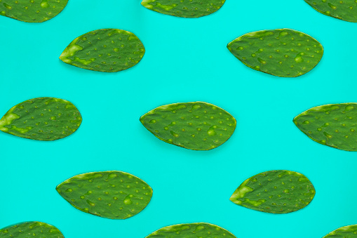Nopales on water blue background