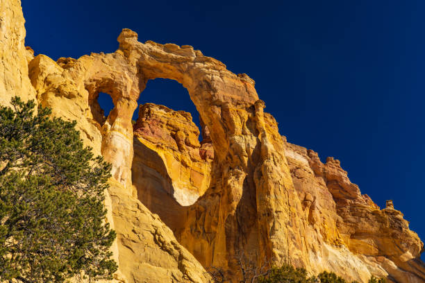istock Grosvenor Double Arch in the Grand Staircase 1293631803