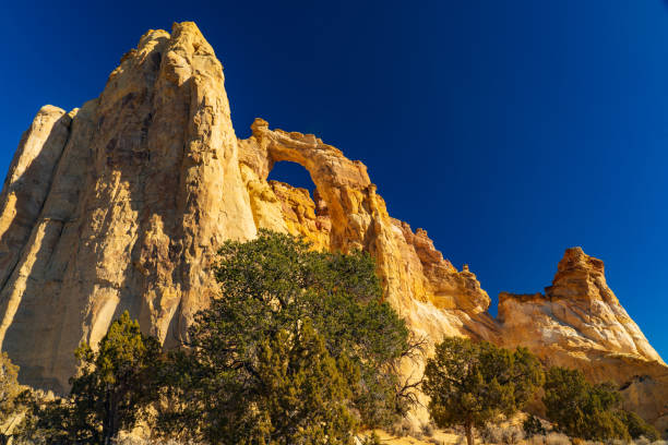 istock Grosvenor Arch in the Grand Staircase 1293631875