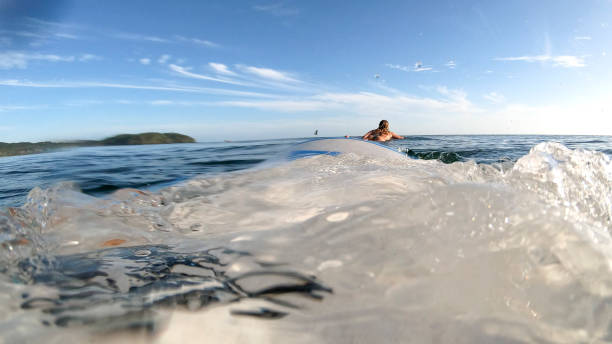 istock Female surfer paddles out for morning session 1293632080
