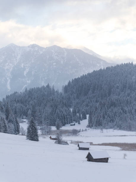 istock Untouched snow landscape at Lake Gerold with snow covered mountains 1293633766