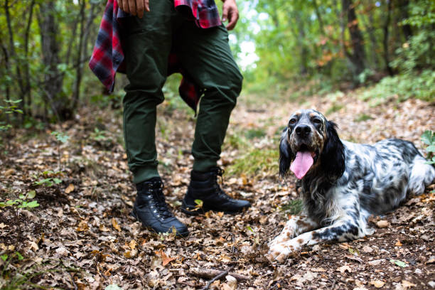 istock A tired dog panting next to a hiker's legs 1293634318