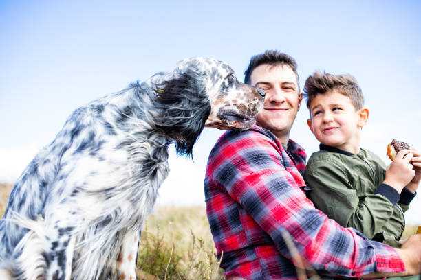 A beautiful dog is sniffing a cute boy's snack on a mountain hike stock photo