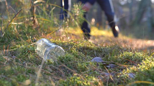 ramasser les poubelles et les bouteilles dans la forêt avec backlight sunrise light - tin glazed flash photos et images de collection