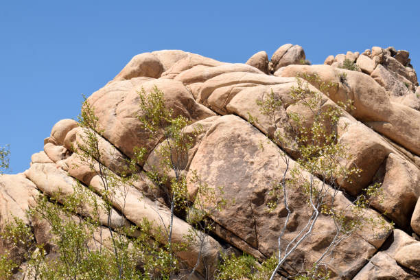 istock Giant Boulders in the SoCal Desert 1293637859