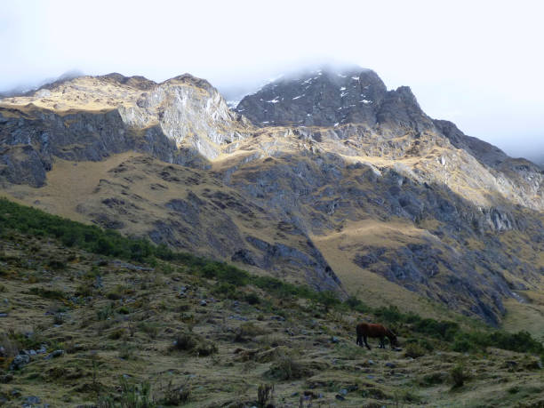istock Mountain terrain Salkantay Trek 1293641252