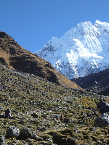 istock Snow capped mountains Andes 1293641390