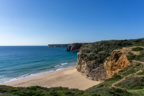 istock golden sand beach with wild tall cliffs and ocean 1293641976