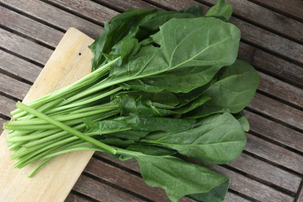 istock raw spinachs leaves as healthy vegan food 1293643109