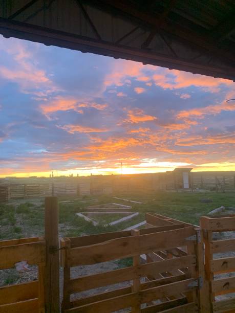 Sunset over a local homestead
