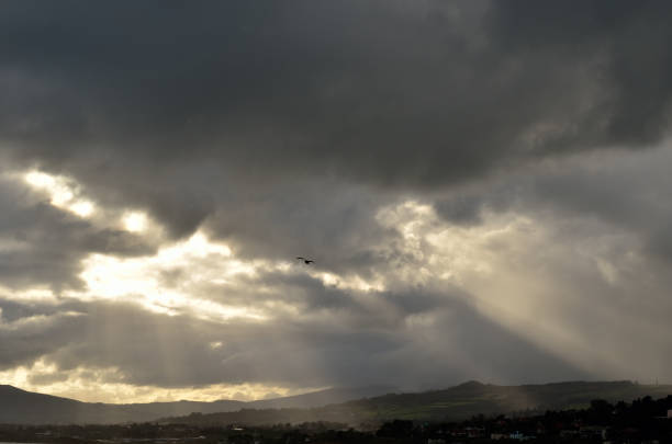 Beams of light radiate from the sun. stock photo