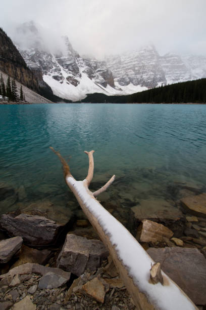 hiver à banff en alberta - landscape national park lake louise moraine lake photos et images de collection