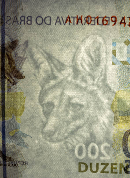 istock two hundred reais Brazilian banknote 1293649464