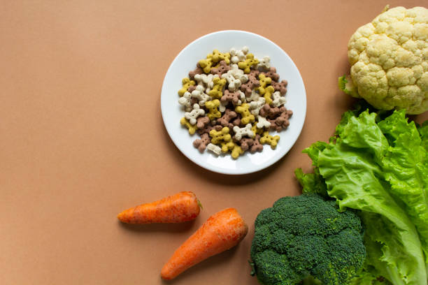 crujientes secos vegetarianos de perro en plato y verduras sobre fondo beige con espacio de copia - dog vegetable carrot eating fotografías e imágenes de stock