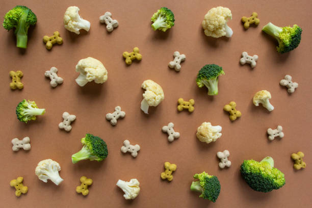 pattern of vegetarian dog snack and vegetables on the beige background stock photo
